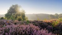 Zonsopgang Posbank