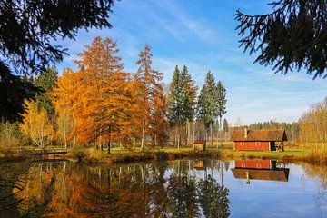 Autumnal larch trees with pond and hunting lodge near Mühlingen in the district of Konstanz by BlattArt - Christine Horn