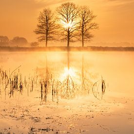 Scharreveld bij zonsopkomst – Een magische voorjaarsochtend van KB Design & Photography (Karen Brouwer)
