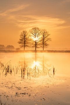 Scharreveld bij zonsopkomst – Een magische voorjaarsochtend van KB Design & Photography (Karen Brouwer)