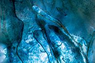 Blauw Abstract Lichtpuntjes | Fine Art Fotografie van Nanda Bussers thumbnail