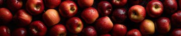 Panorama with red apples from above by Studio XII