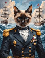 Siamese cat Admiral