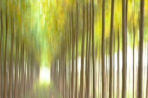 Paysage abstrait