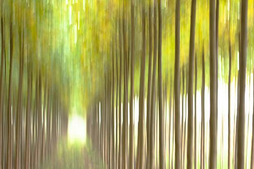 Abstrakte Landschaft