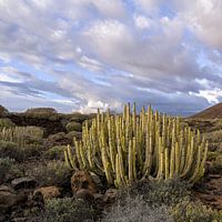 Teneriffa