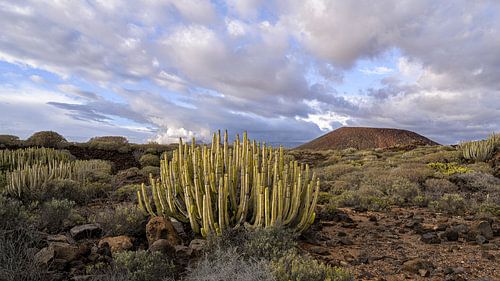 The silence of the volcanic desert – Tenerife at sunset