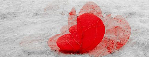 Un cœur rouge vif