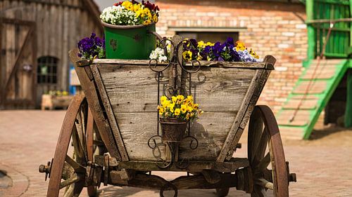 Fleurs printanières de différentes variétés, disposées de manière décorative sur un chariot de foin