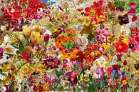 Project #RGBMetTulp2022 by Susan Hol thumbnail