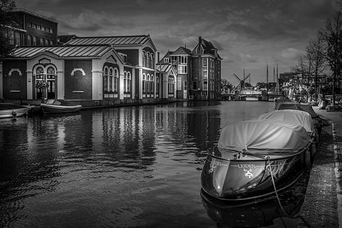 Webster Leiden Campus, Leiden