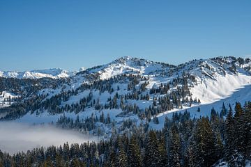 Winteruitzicht vanaf de Hochgrat naar de Allgäuer Hoge Alpen van Leo Schindzielorz