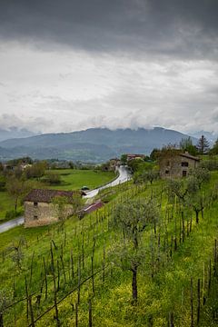 Toskanische Landschaft mit dunklen Wolken und Hügel mit Olivenbäumen von Joost Adriaanse