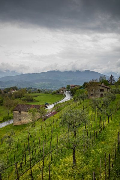 Tuscan landscape with dark clouds and hill with olive trees by Joost Adriaanse