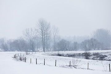 Winter van Ingrid Van Damme fotografie