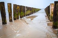 Groynes beach Soutelande by Teuni's Dreams of Reality thumbnail
