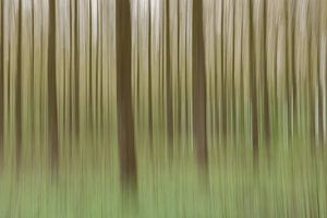 Moving trees van Jaco Verheul