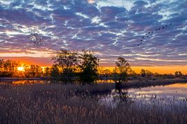 Sonnenaufgang im Osten von Heiko Lehmann