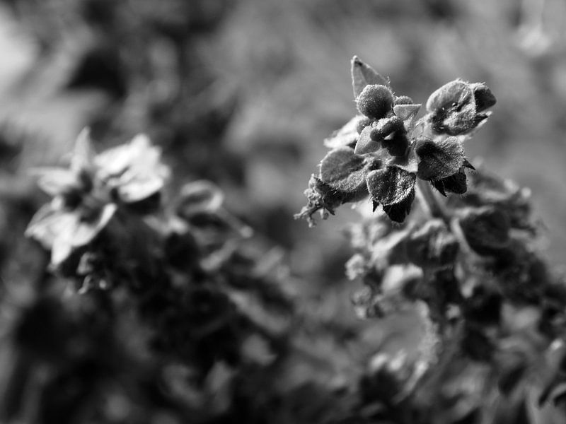 Up by Alexander van der Linden