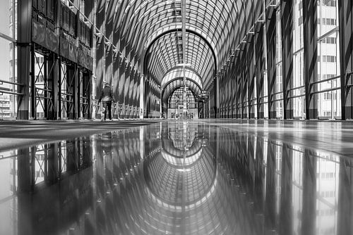 Schwarz-Weiß-Foto der Nelson-Mandela-Brücke in Zoetermeer ist eine Fahrrad- und Fußgängerbrücke - Ni