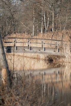 Birch Bridge Reflections - Rustic Waterway - Pampas grass by Femke Ketelaar