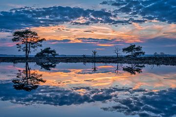 Blue hour in Dwingelderveld by Bea Budai