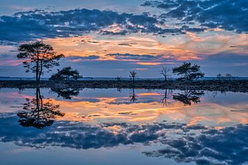 Blauwe uur in Dwingelderveld van Bea Budai