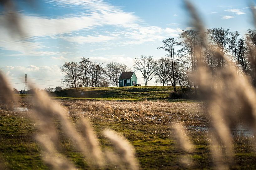 Ansicht des traditionellen hölzernen Häuschens auf Schokland von Fotografiecor .nl