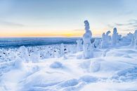 Blauw winterlandschap in Finland van Menno Schaefer thumbnail