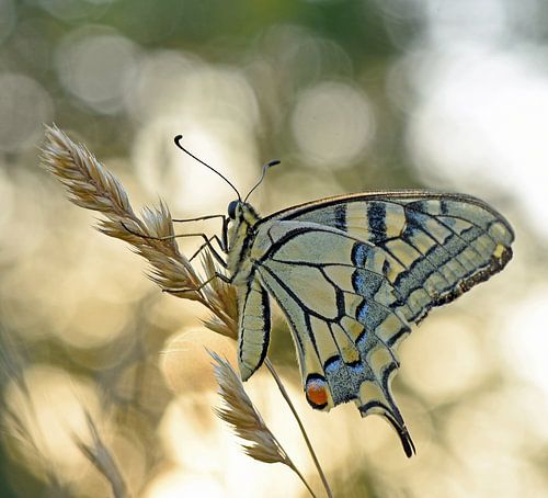 coïncider