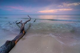 Weststrand auf Darß von Martin Wasilewski