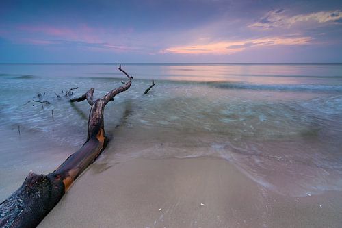 Darss Twilight by Martin Wasilewski