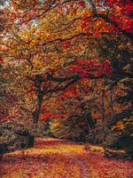 herfstbladeren