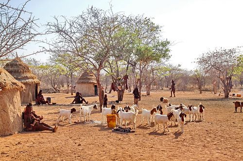 Himba dorp in Kamanjab