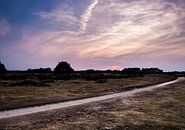 Zonsondergang Tafelbergheide von Naresh Bhageloe Miniaturansicht