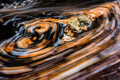Autumn leaf in a flowing river