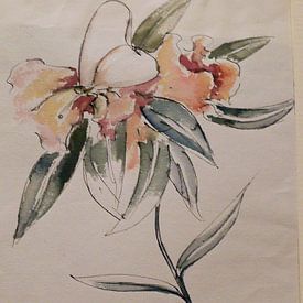 Sanfte Annäherung von fdgArtworks