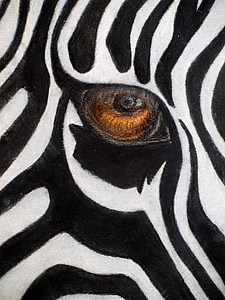 Sanftes Zeichen des Zebras.