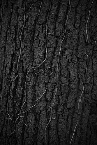Growing or dying