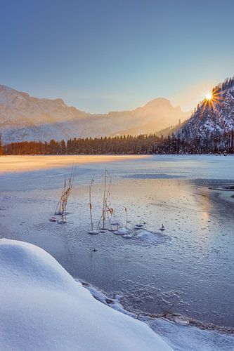 crisp by Silvio Schoisswohl