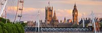 Westminster Palace II van Rainer Mirau thumbnail