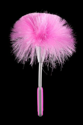 Mini feather duster