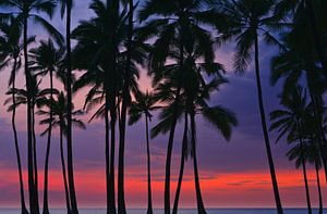 Sonnenuntergang am Pu'uhonua o Hōnaunau, Hawaii