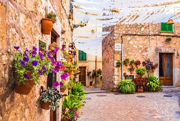 Romantische Straße mit schönen Blumen im Dorf Valldemossa, Mallorca Spanien von Alex Winter