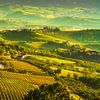 Grinzane Cavour und die Weinberge der Langhe von Stefano Orazzini