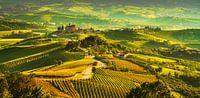 Grinzane Cavour en de wijngaarden van Langhe