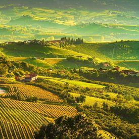 Grinzane Cavour und die Weinberge der Langhe von Stefano Orazzini