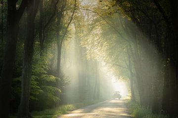 Zonneharpen in het bos bij Spier – Voorbijrijdende tractor van KB Design & Photography (Karen Brouwer)