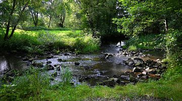 Ruhiges Ufer von Naturfotografie Harald Reinl