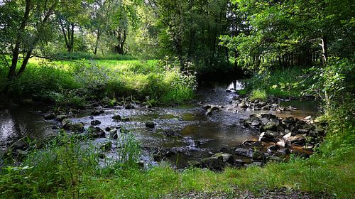 Rustige kust